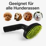 Katze Hund Haustier Massage Staubsauger