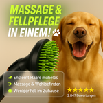 Katze Hund Haustier Massage Staubsauger